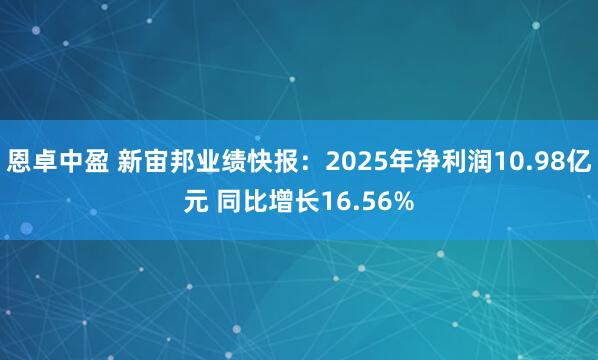恩卓中盈 新宙邦业绩快报：2025年净利润10.98亿元 同比增长16.56%