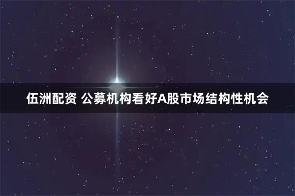 伍洲配资 公募机构看好A股市场结构性机会