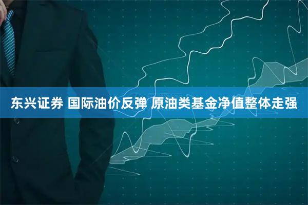 东兴证券 国际油价反弹 原油类基金净值整体走强
